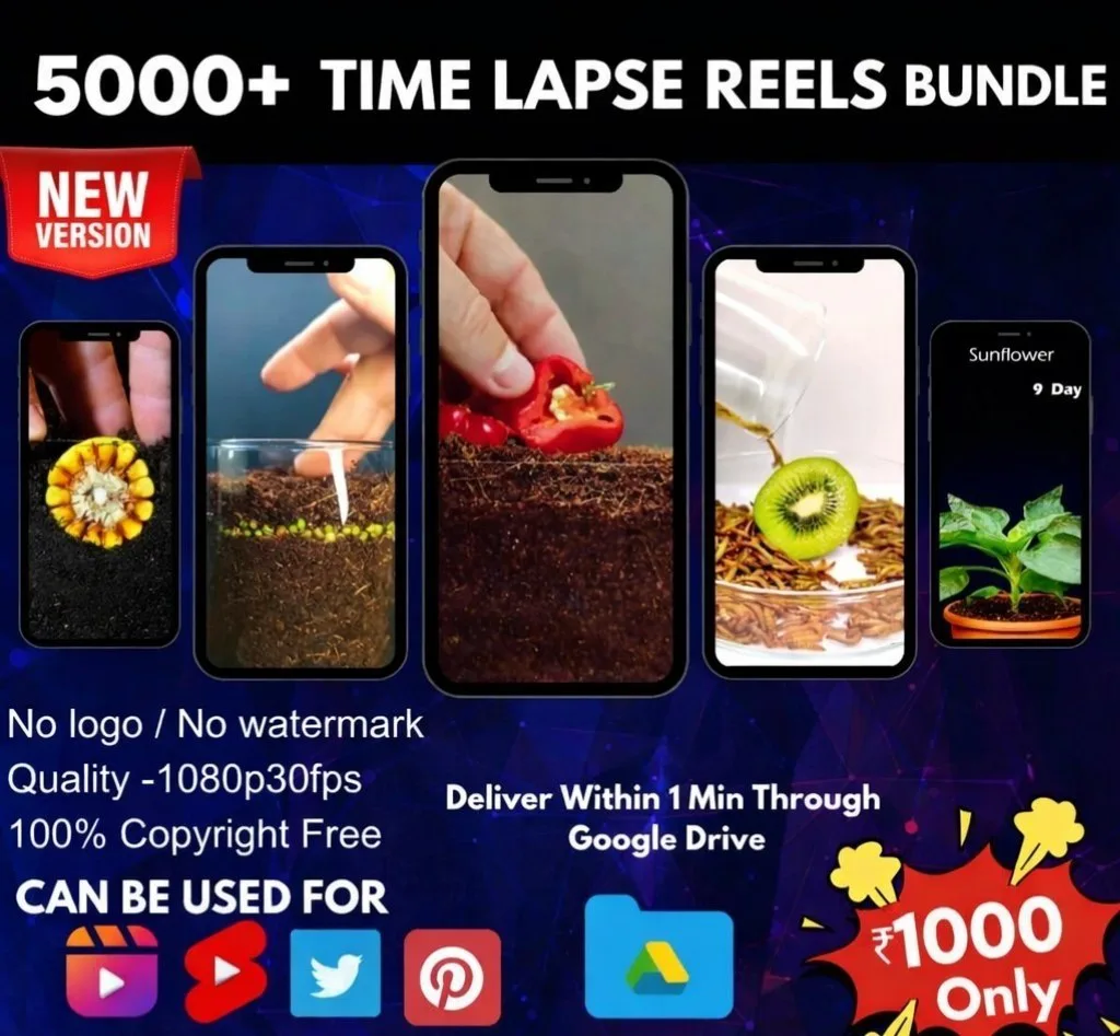 Time Lapse Reels Bundle